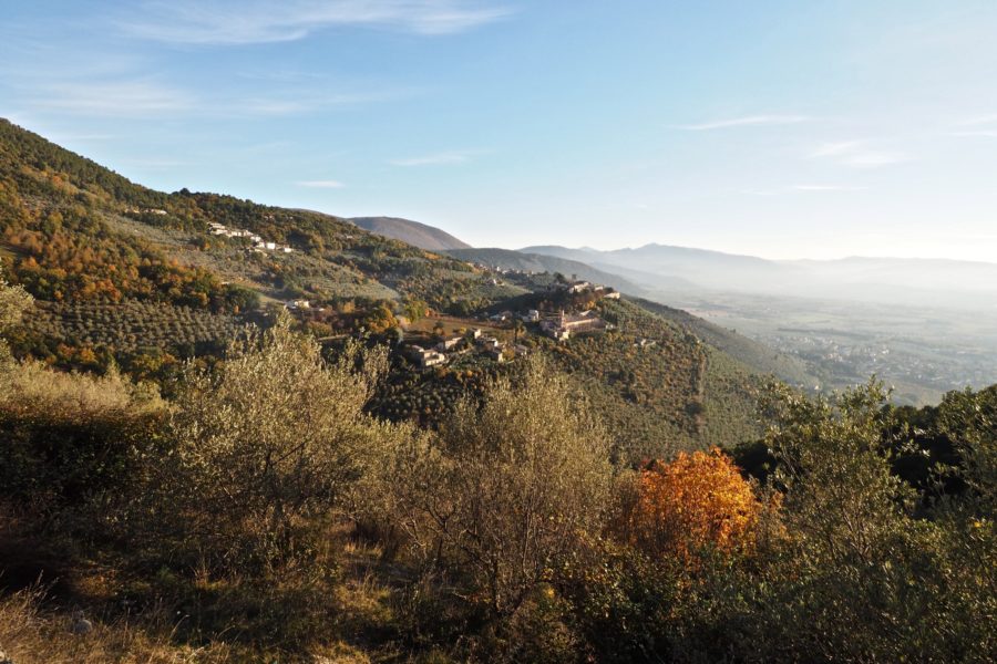 La Fascia olivata Assisi- Spoleto diventa Patrimonio agricolo di rilevanza mondiale della Fao