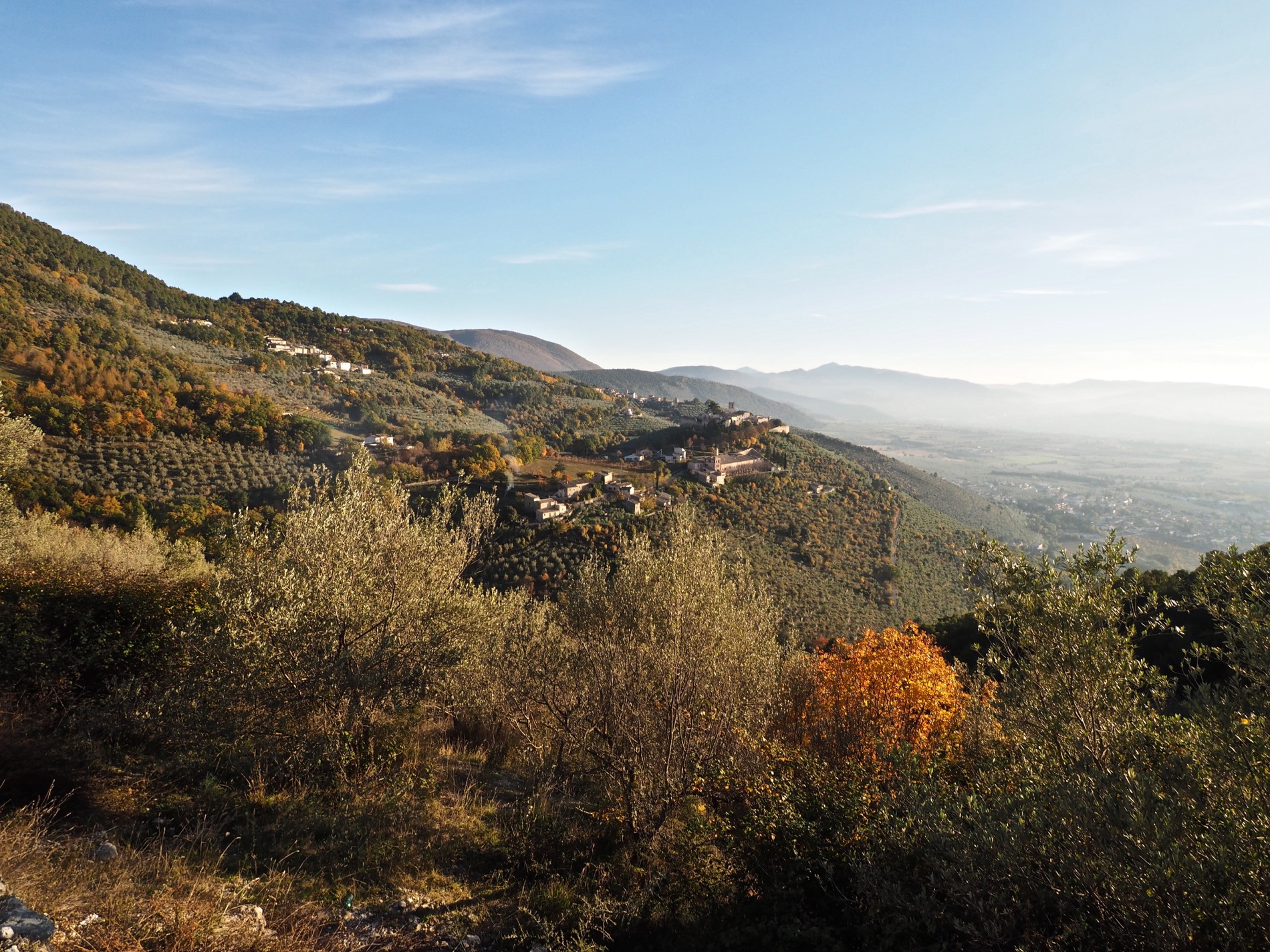 La Fascia olivata Assisi- Spoleto diventa Patrimonio agricolo di rilevanza mondiale della Fao