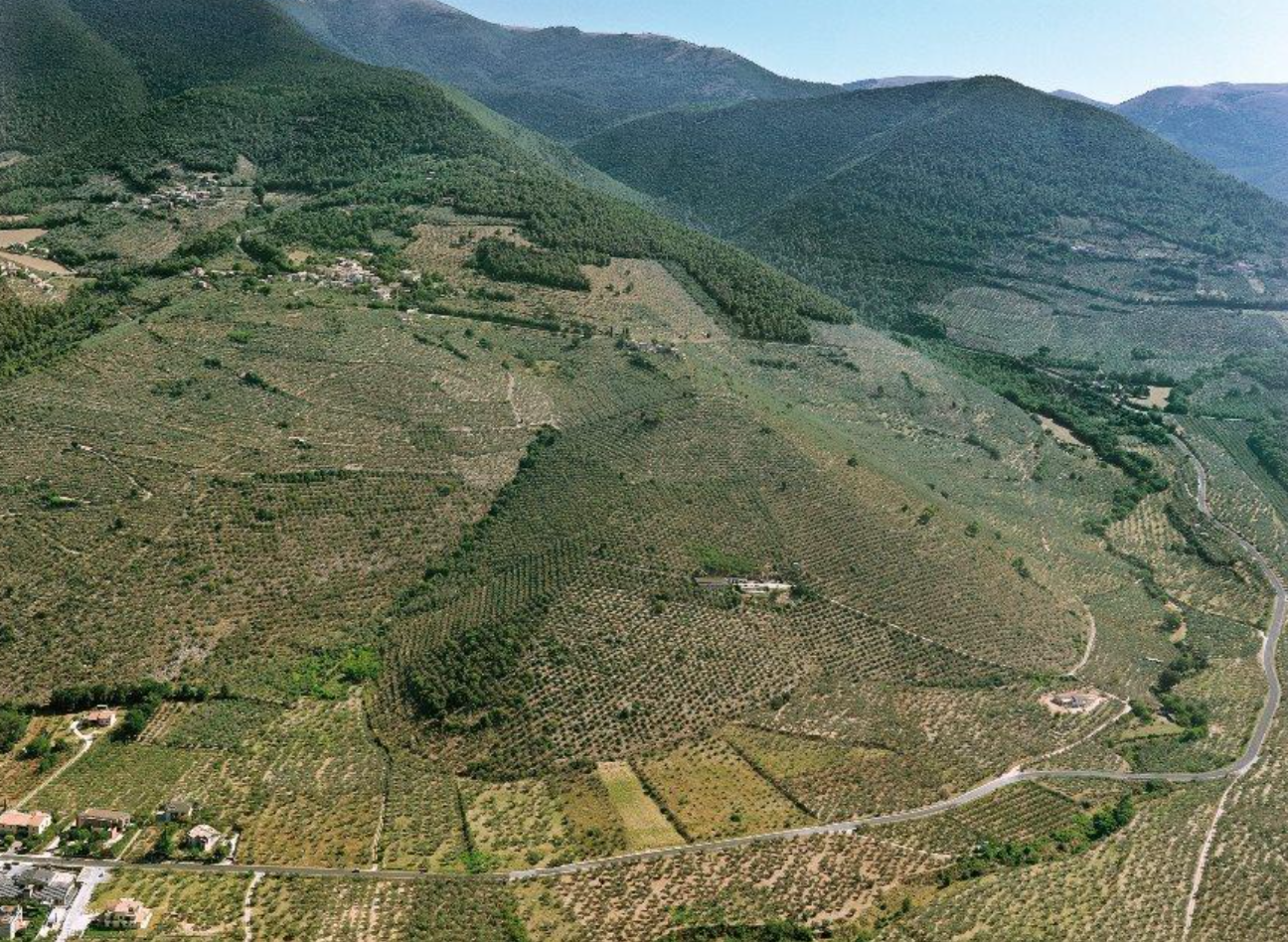 Gli ulivi dell’Umbria vogliono il riconoscimento Unesco